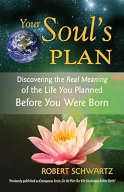 Your Soul’s Plan: Discovering the Real Meaning of the Life You Planned Before You Were Born (EPUB)