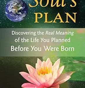 Your Soul’s Plan: Discovering the Real Meaning of the Life You Planned Before You Were Born (EPUB)