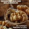 Gesundheit aus dem Walnussbaum: Die vielfältigen Heilkräfte von Nuss und Blatt (German Edition) (EPUB)