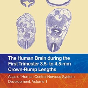The Human Brain during the First Trimester 3.5- to 4.5-mm Crown-Rump Lengths: Atlas of Human Central Nervous System Development, Volume 1 (Original PDF from Publisher)