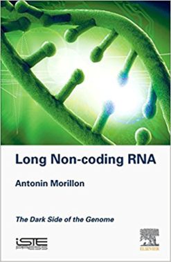 Long Non-coding RNA: The Dark Side of the Genome (EPUB)