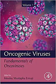 Oncogenic Viruses Volume 1: Fundamentals of Oncoviruses (Original PDF from Publisher)