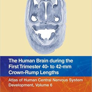 The Human Brain during the First Trimester 40- to 42-mm Crown-Rump Lengths: Atlas of Human Central Nervous System Development, Volume 6 (Original PDF from Publisher)
