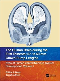 The Human Brain during the First Trimester 57- to 60-mm Crown-Rump Lengths: Atlas of Human Central Nervous System Development, Volume 7 (Original PDF from Publisher)