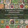 A Working Herbal Dispensary: Respecting Herbs As Individuals (EPUB)