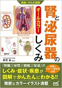 運動・からだ図解 腎と泌尿器のしくみ (Original PDF from Publisher)