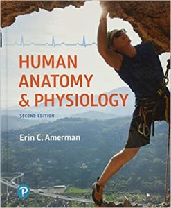Human Anatomy & Physiology, 2nd Edition (Original PDF from Publisher)