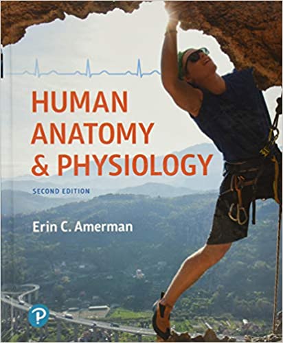 Human Anatomy & Physiology, 2nd Edition (Original PDF from Publisher)