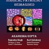 Ace the Boards: Surgical Pathology Reimagined: Volume 2 (Ace My Path) (Original PDF from Publisher)