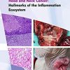 Head and Neck Cancer: Hallmarks of The Inflammation Ecosystem-Volume 2 (EPUB & Converted PDF)