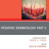 Pediatric Dermatology Part II, An Issue of Dermatologic Clinics , E-Book (The Clinics: Internal Medicine) (Original PDF from Publisher)