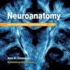 Neuroanatomy: Illustrated Colour Text, 7th edition (EPUB + Converted PDF)