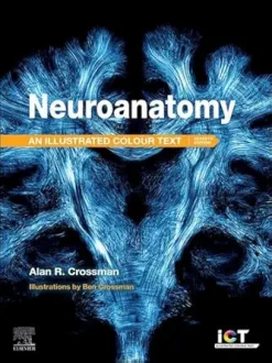 Neuroanatomy: Illustrated Colour Text, 7th edition (EPUB + Converted PDF)
