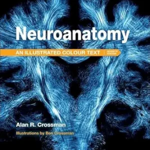 Neuroanatomy: Illustrated Colour Text, 7th edition (EPUB + Converted PDF)