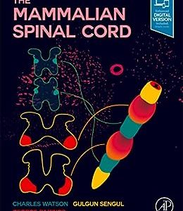 The Mammalian Spinal Cord (Original PDF from Publisher)