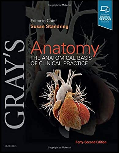 Gray’s Anatomy: The Anatomical Basis of Clinical Practice 42nd Edition (True PDF From Publisher)