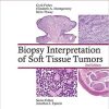 Biopsy Interpretation of Soft Tissue Tumors, Second Edition (EPUB)