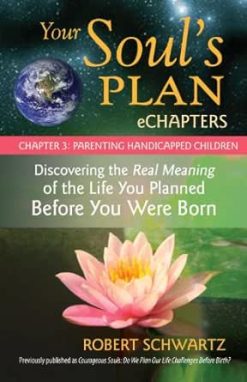 Your Soul’s Plan eChapters – Chapter 3: Parenting Handicapped Children: Discovering the Real Meaning of the Life You Planned Before You Were Born (EPUB)