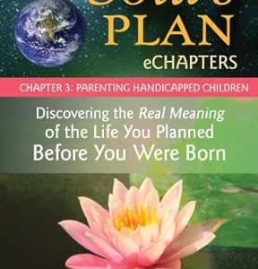 Your Soul’s Plan eChapters – Chapter 3: Parenting Handicapped Children: Discovering the Real Meaning of the Life You Planned Before You Were Born (EPUB)