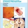 Blood Pressure Management and Stroke Prevention (Visual Guide for Clinicians) (Original PDF from Publisher)