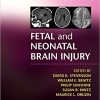 Fetal and Neonatal Brain Injury, 5th Editon (Original PDF from Publisher)
