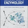 Laboratory Guide to Enzymology (Original PDF from Publisher)