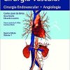 Cirurgia Vascular: Cirurgia Endovascular, Angiolgia, 4th Edition (Original PDF from Publisher)