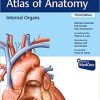 Internal Organs (THIEME Atlas of Anatomy), 3rd Edition (Original PDF from Publisher)