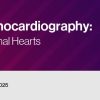 2022 Fetal Echocardiography: Normal and Abnormal Hearts (Videos)
