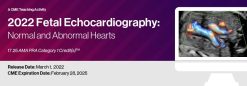 2022 Fetal Echocardiography: Normal and Abnormal Hearts (Videos)