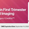 2023 Advances in First Trimester Ultrasound Imaging – DocmedED (Videos)