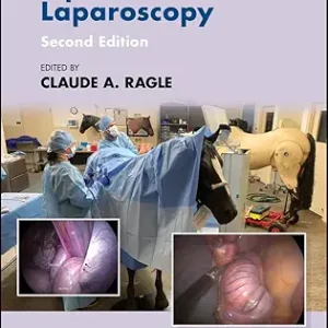 Advances in Equine Laparoscopy (AVS Advances in Veterinary Surgery), 2nd Edition (EPUB)