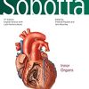 Sobotta Atlas of Anatomy, Vol. 2, 17th ed., English/Latin: Internal Organs (Original PDF from Publisher)
