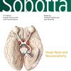Sobotta Atlas of Anatomy, Vol. 3, 17th ed., English/Latin: Head, Neck and Neuroanatomy (Original PDF from Publisher)