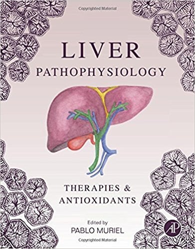 Liver Pathophysiology: Therapies and Antioxidants (Original PDF)