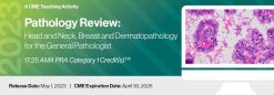 2023 Pathology Review Head and Neck, Breast and Dermatopathology for the General Pathologists (Videos)