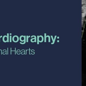 2021 Fetal Echocardiography: Normal and Abnormal Hearts (Videos)