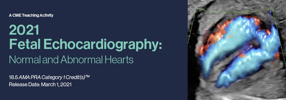 2021 Fetal Echocardiography: Normal and Abnormal Hearts (Videos)