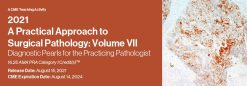 2021 A Practical Approach to Surgical Pathology: Volume VII Diagnostic Pearls for the Practicing Pathologist (Videos)