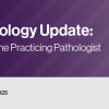 Surgical Pathology Update: Diagnostic Pearls for the Practicing Pathologist – Vol. VI 2022 (Videos)