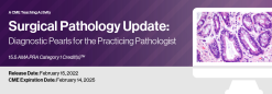 Surgical Pathology Update: Diagnostic Pearls for the Practicing Pathologist – Vol. VI 2022 (Videos)