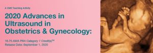 2020 Advances in Ultrasound in Obstetrics and Gynecology (Videos)