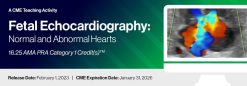 2023 Fetal Echocardiography: Normal and Abnormal Hearts (Videos)
