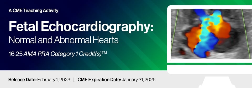 2023 Fetal Echocardiography: Normal and Abnormal Hearts (Videos)