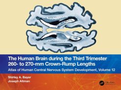 The Human Brain during the Third Trimester 260– to 270–mm Crown-Rump Lengths: Atlas of Central Nervous System Development, Volume 12 (Atlas of Central Nervous System Development, 12) (Original PDF from Publisher)