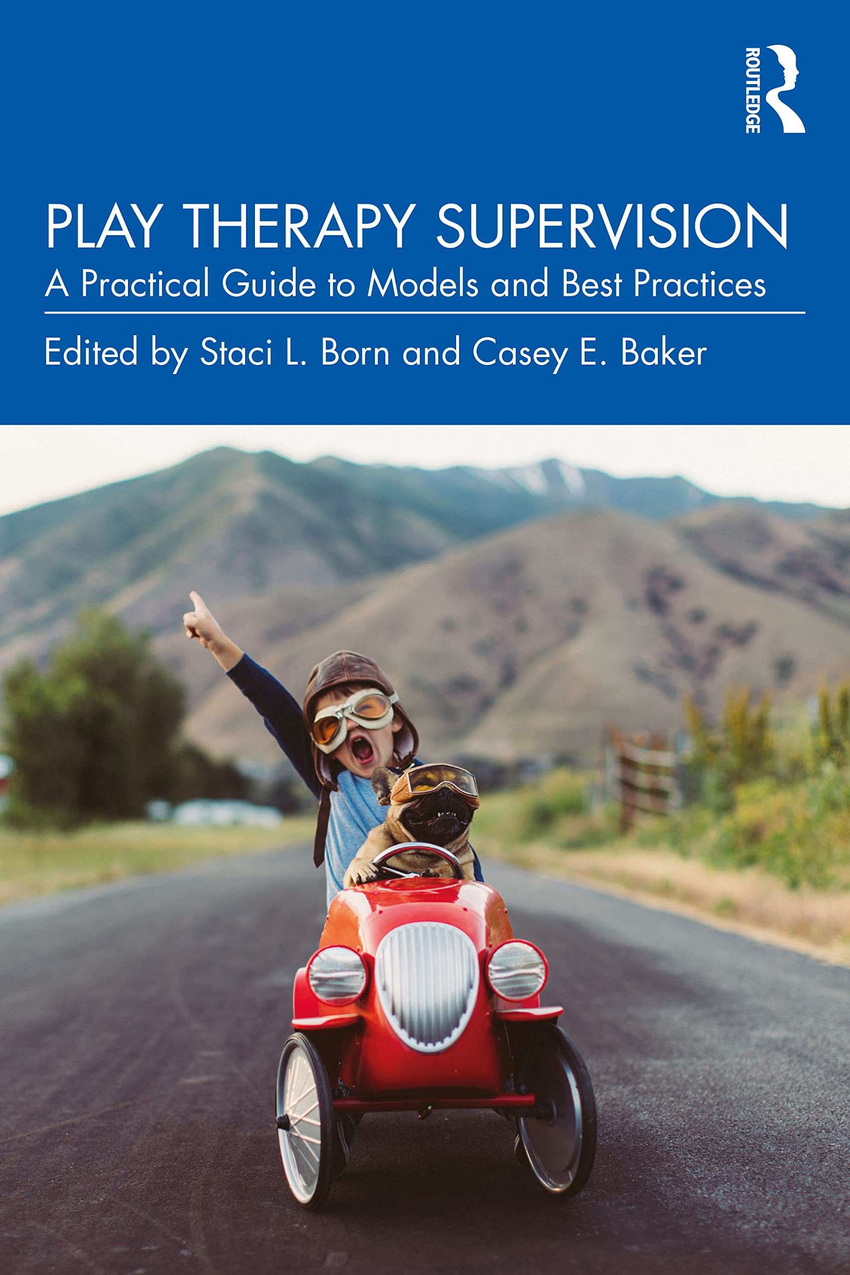 Play Therapy Supervision (Original PDF from Publisher)