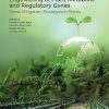 Exogenous Priming and Engineering of Plant Metabolic and Regulatory Genes: Stress Mitigation Strategies in Plants (Original PDF from Publisher)