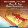 Principles and Approaches to Diagnostic Bone Marrow Examination (EPUB)