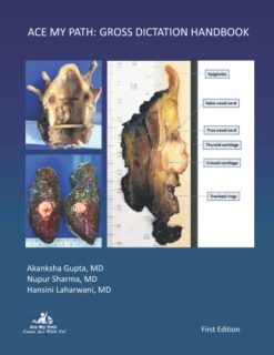 Ace My Path: Gross Dictation Handbook (Original PDF from Publisher)