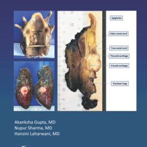 Ace My Path: Gross Dictation Handbook (Original PDF from Publisher)